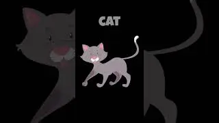 Animals and Birds for Kids|Sea animals|Lion|Elephant| Monkey|Cat|Dog #english #animals #birds