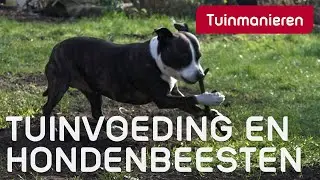 De hond eet tuinvoeding, is dat erg? | Tuinieren | Tuinmanieren