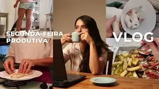 vlog | um dia comigo colocando a vida em ordem! organização, limpeza, trabalho, almoço saudável