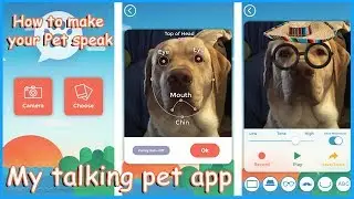 My talking Pet APP -Tutorial & Review