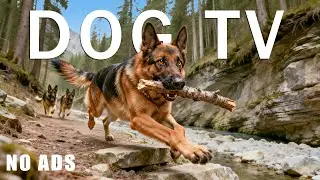 Dog TV 🐶 Calming Music for Dogs Home Alone | Anti-Separation Anxiety Relief & Deep Relaxation