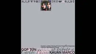 Kauan Marco - Instills A Sense Of Inner Peace And Happiness