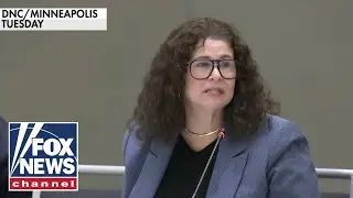 Dem goes 'off the rails' in DNC meeting as tensions flare