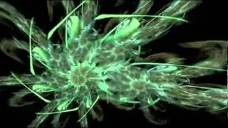 Traumatic - Leloopa (CL+5.0%UP)