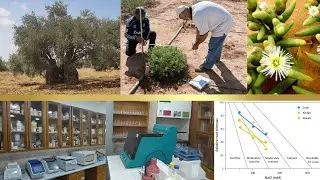 Plant Abiotic Stress Research