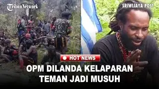 Terjepit Konflik Internal, Puluhan Serdadu OPM Kelaparan di Hutan Papua