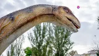Fun Dinosaur Trivia Quiz