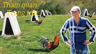 Tham quan trang trại Tony game farm tại USA