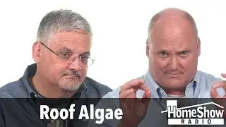 What's your advice on getting rid of roof algae?