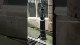 I Found a Secret Dungeon in My Town!