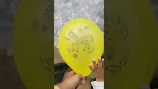 Experiment: Water Balloon from Rooftop 😱💥Yellow Zebra Vs Red Polla Baloon #asmr #shortvideo #funny