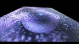 Drama Bond - Light Wave: Meditative Mod-Synth and Max MSP w Audio-Reactive Fluid Solver
