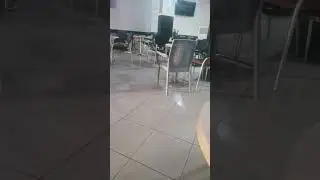 القران &eacute;couter le Coran