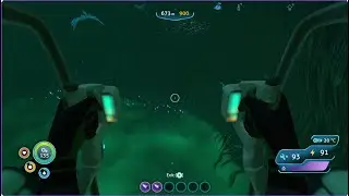 Exploring the Grand Reef