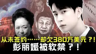 余梦龙案件: 余梦龙的380万美元债务陷阱 | 