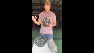 Catchers Mitt Review | RAWLINGS - ALL-STAR - 44 PRO