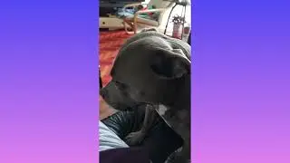 Meltdown Recovery