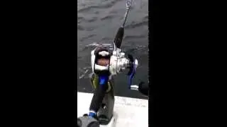 ダイワシーボーグ１５０Ｊ