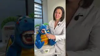 Stop Taking Your Stress Out On Your Teeth! How to Properly Brush Your Teeth From a Periodontist