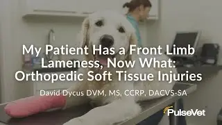 My Patient Has a Front Limb Lameness, Now What: Orthopedic Soft Tissue Injuries