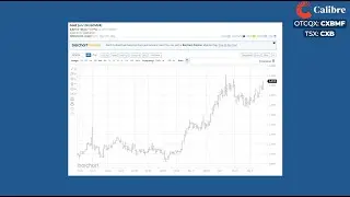 Gold Insights: Calibre Mining Corp's (CXB.TO) Ryan King on the Current State of the Gold Market