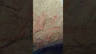 San Borjita, Municipality of Muleg&eacute;, Baja California Sur. #mexico #bcs #mulege #rockart #tourism