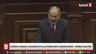 Алиев и Никол ссылаются на армянских избирателей - Армен Ашотян