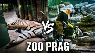Zoo Prag