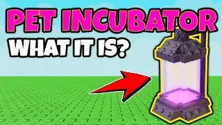 PET INCUBATOR Guide - What It Does [GROW A GARDEN] Roblox