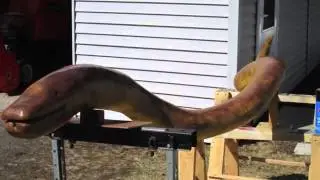 How To Make A Wood Anaconda Snake from a Tree