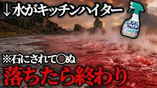 【実在】生物が石化する恐怖の湖「ナトロン湖」【科学的解説】