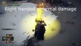 Elden Ring - Unescapable Frenzy Glitch