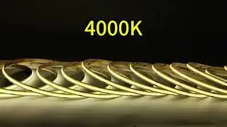 # COB-480LED-10W-8mm #