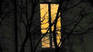 MOLOCH(ukr)-Ferne W&auml;lder gehen im tiefen Herbstnebel verloren .wmv