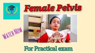 Female Pelvis ।।How to describe it in practical ।। Bengali Nursing Learner..