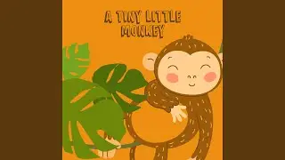A Tiny Little Monkey