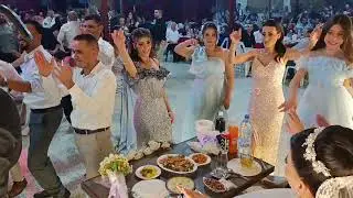 ٢ نوفمبر ٢٠٢٥