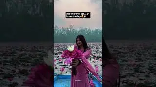 indore Lotus valley #lotus #valley #indore