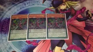 Yu-Gi-Oh! Deck Profile - Dark Draco-Pals (PePe)