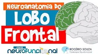 LOBO FRONTAL (Neuroanatomia Funcional do Córtex / Telencéfalo) - Aula Antiga