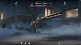 Fracture Collection In CS2!