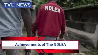 Achievements And Activities Of Nigeria's Drug Law Enforcement Agency NDLEA