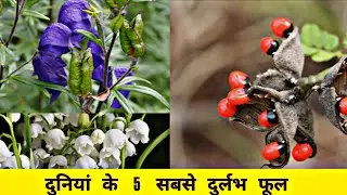 दुनियां के 5 सबसे दुर्लभ फूल ⚡ || top 5 most expensive flowers in the world 