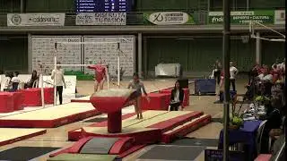 Morgan Hurd - Vault - Team/AA - 2018 Pacific Rim Championships