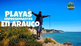 Arauco y sus playas paradisíacas 