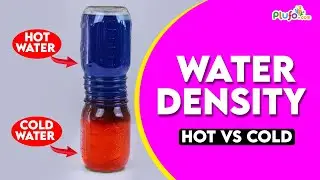 Hot vs Cold - Water Density || Science Experiment