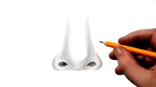 How to Draw a Realistic Nose For Beginners - Easy Drawing Method!