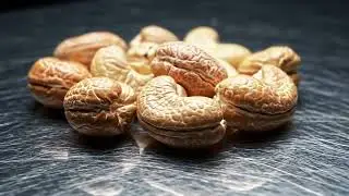 Inside a  Modern Cashew Nut Factory, From Fruit Separation To Salted Nuts Full Process