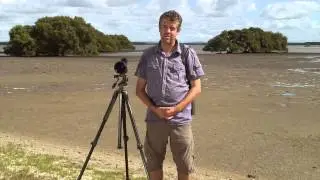 Endemic Bird Tours Australia