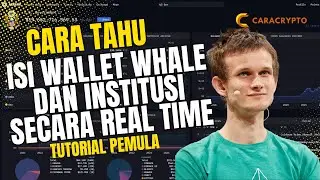 Cara Mengetahui Isi Wallet Dan Institusi Secara Realtime | Tutorial Crypto Pemula